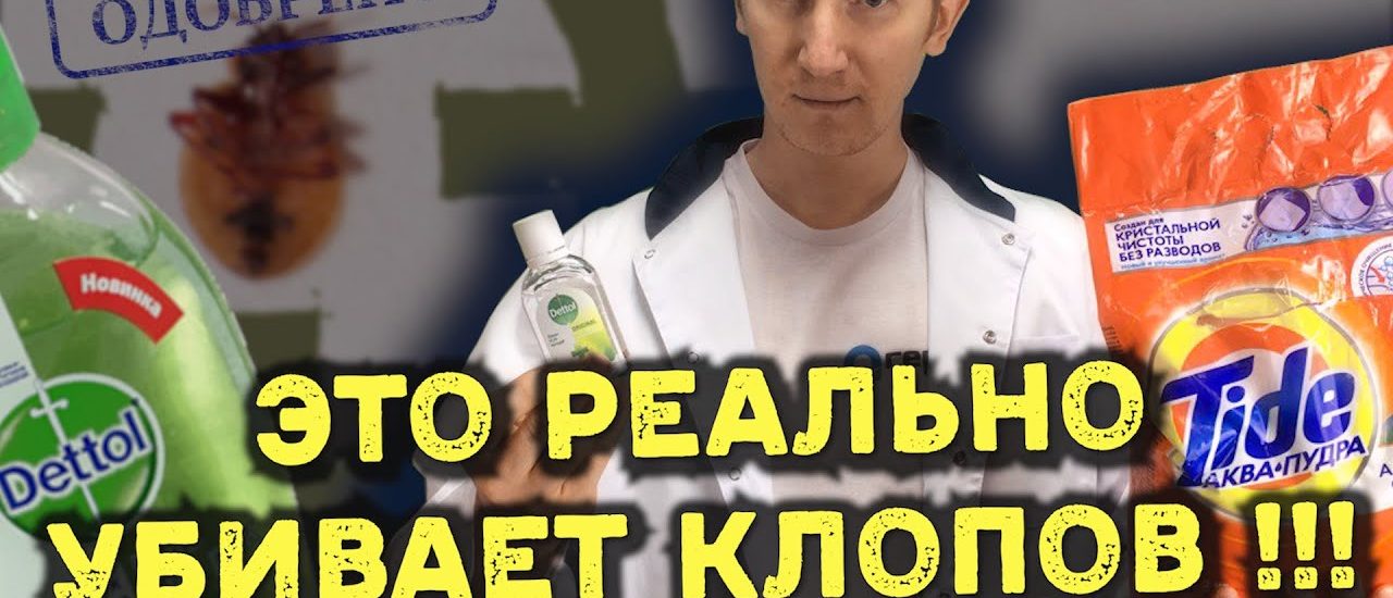 Эффективные способы избавления от клопов в квартире без помощи специалистов