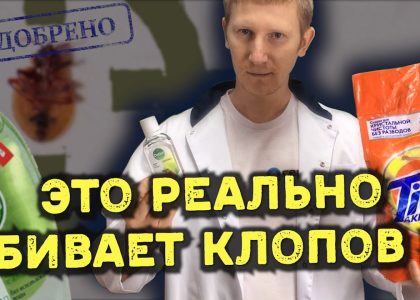 Эффективные способы избавления от клопов в квартире без помощи специалистов